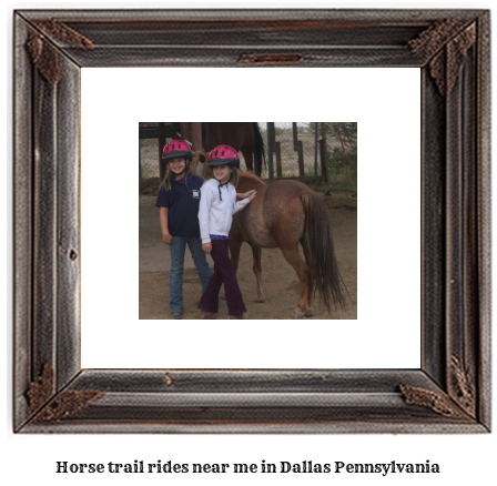 horse trail rides near me in Dallas, Pennsylvania